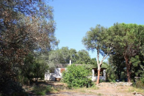 QUIET COTTAGE NEAR CITY CENTER